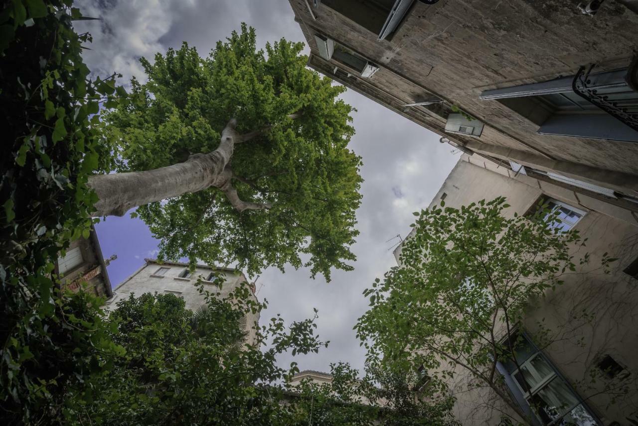 Apartmán Les Jardins De L'Ecusson - Premiere Conciergerie Montpellier Exteriér fotografie